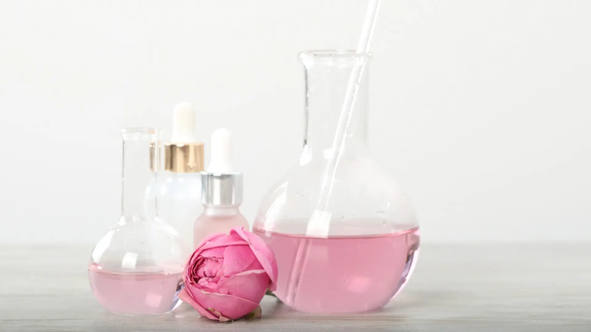 parfum mihi fragrances elegantes pour femme et homme